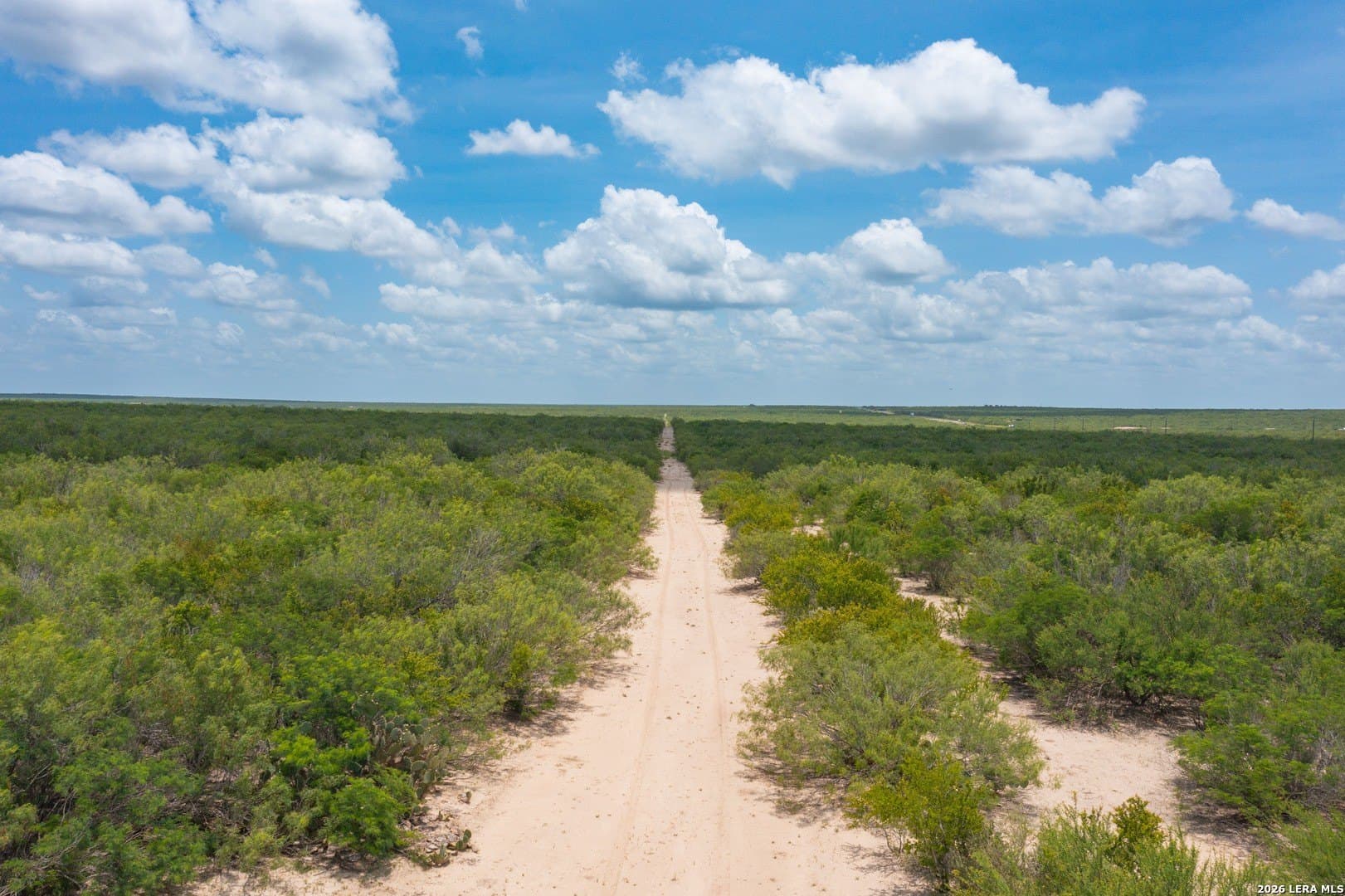 433 acres in Webb County - photo 22