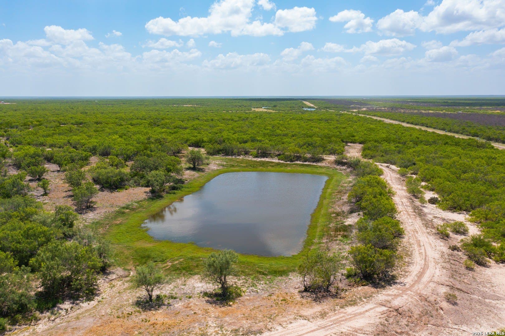433 acres in Webb County - photo 14