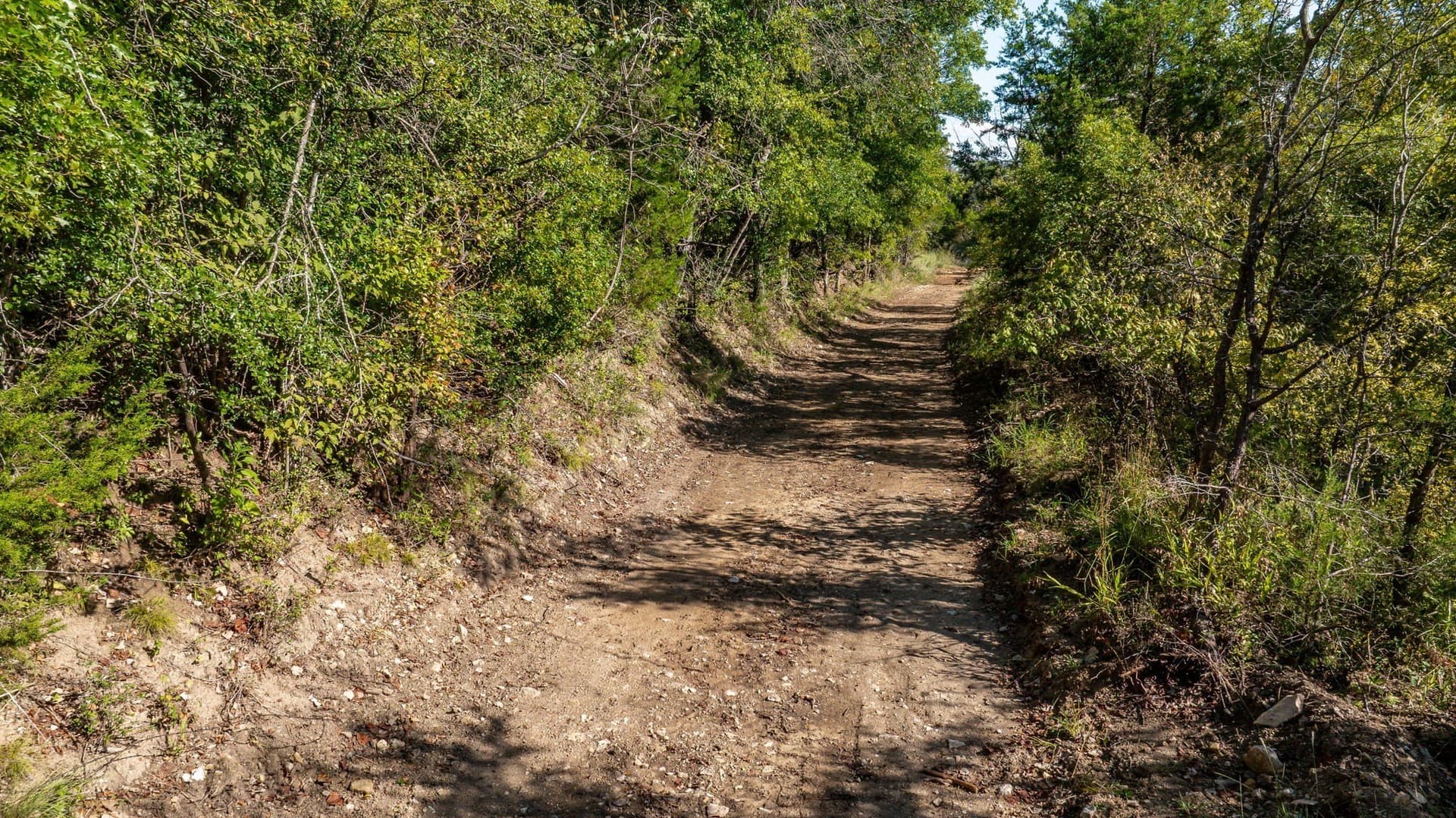 185.41 acres in Bosque County - photo 12