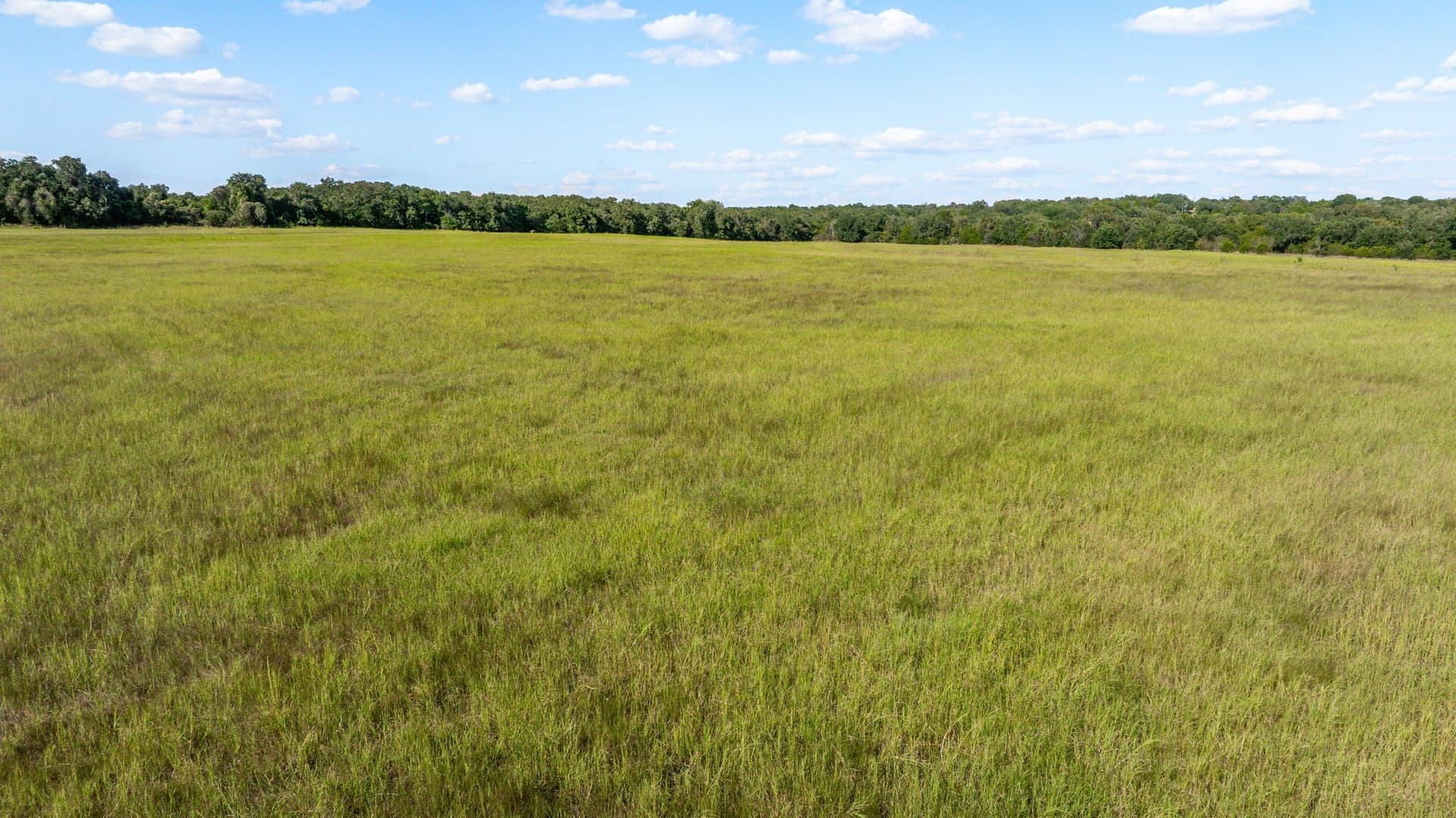 185.41 acres in Bosque County - photo 38