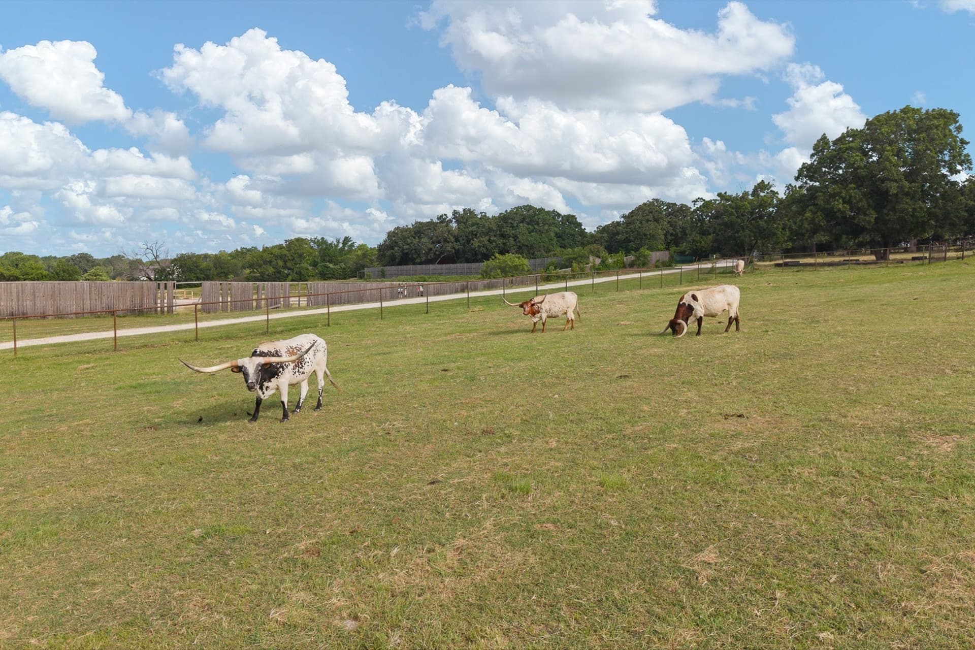 29.45 acres in Johnson County - photo 12