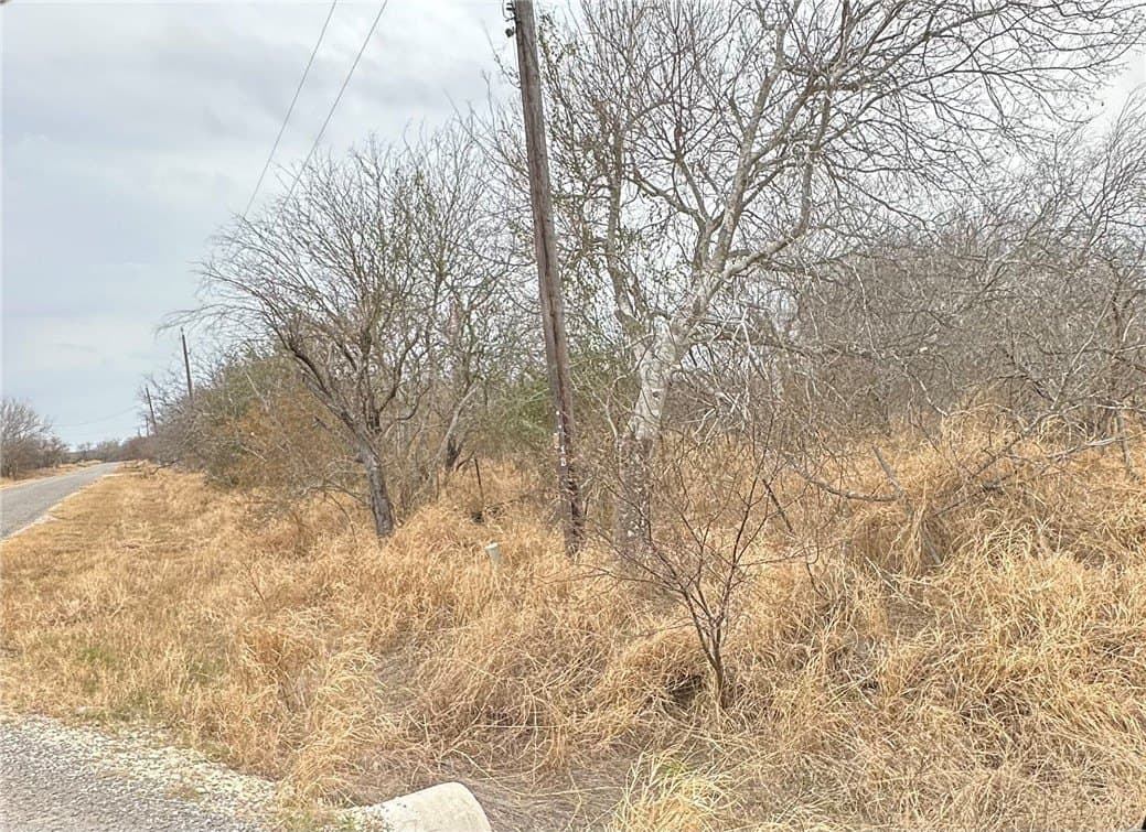 1.5 acres in San Patricio County