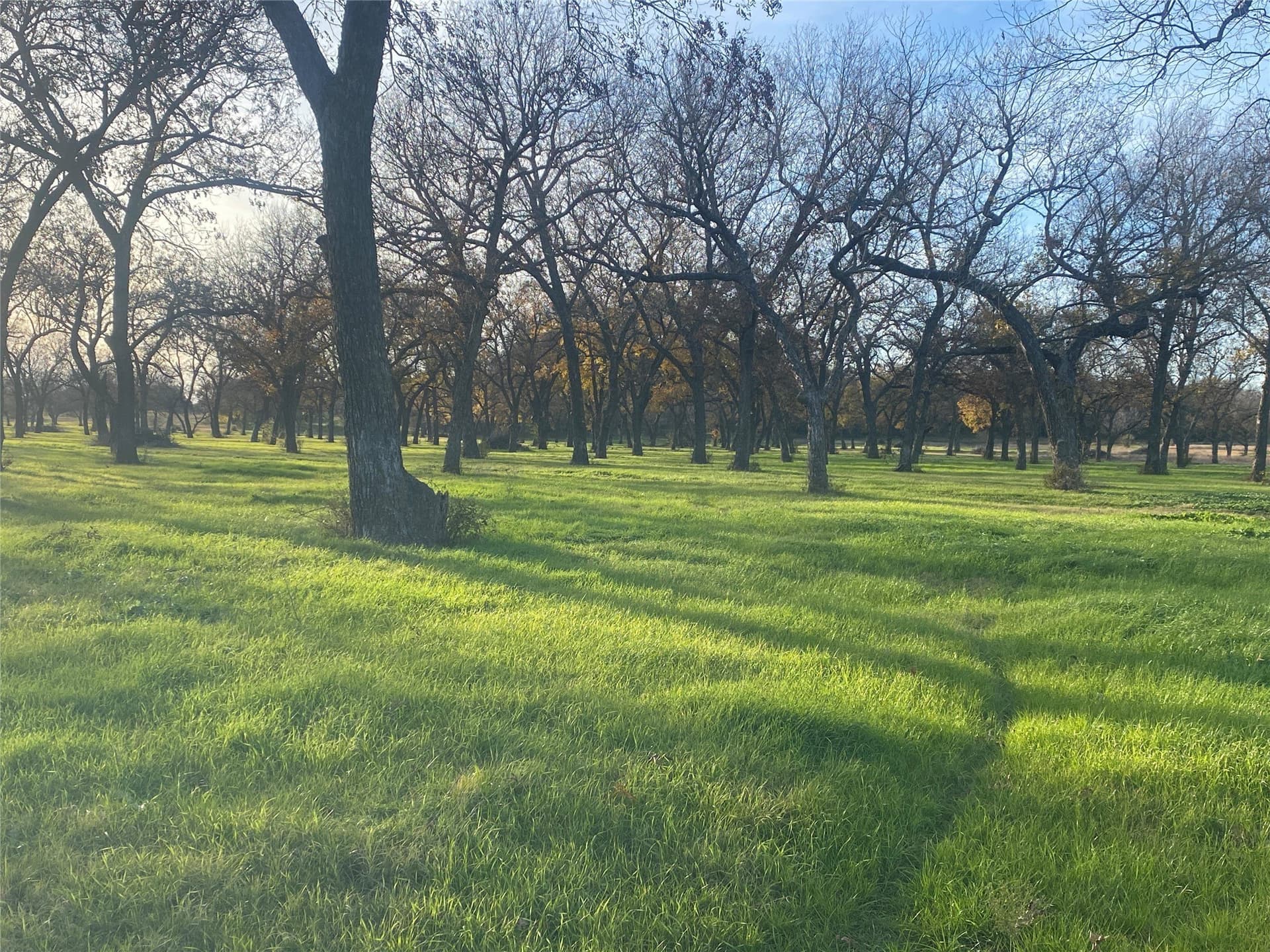 85 acres in Comanche County