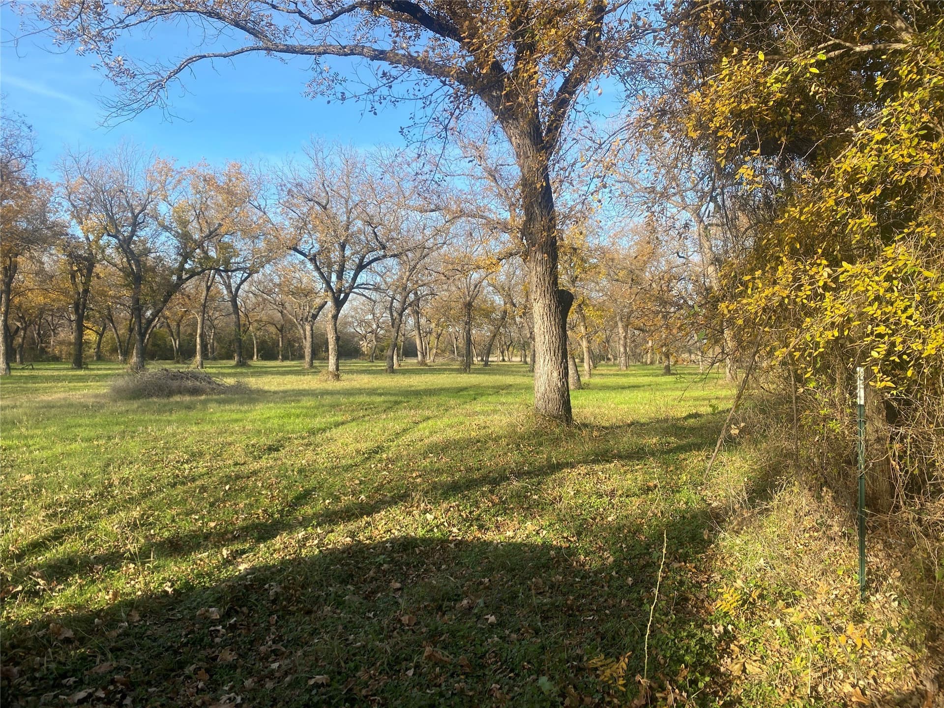 85 acres in Comanche County gallery image 2
