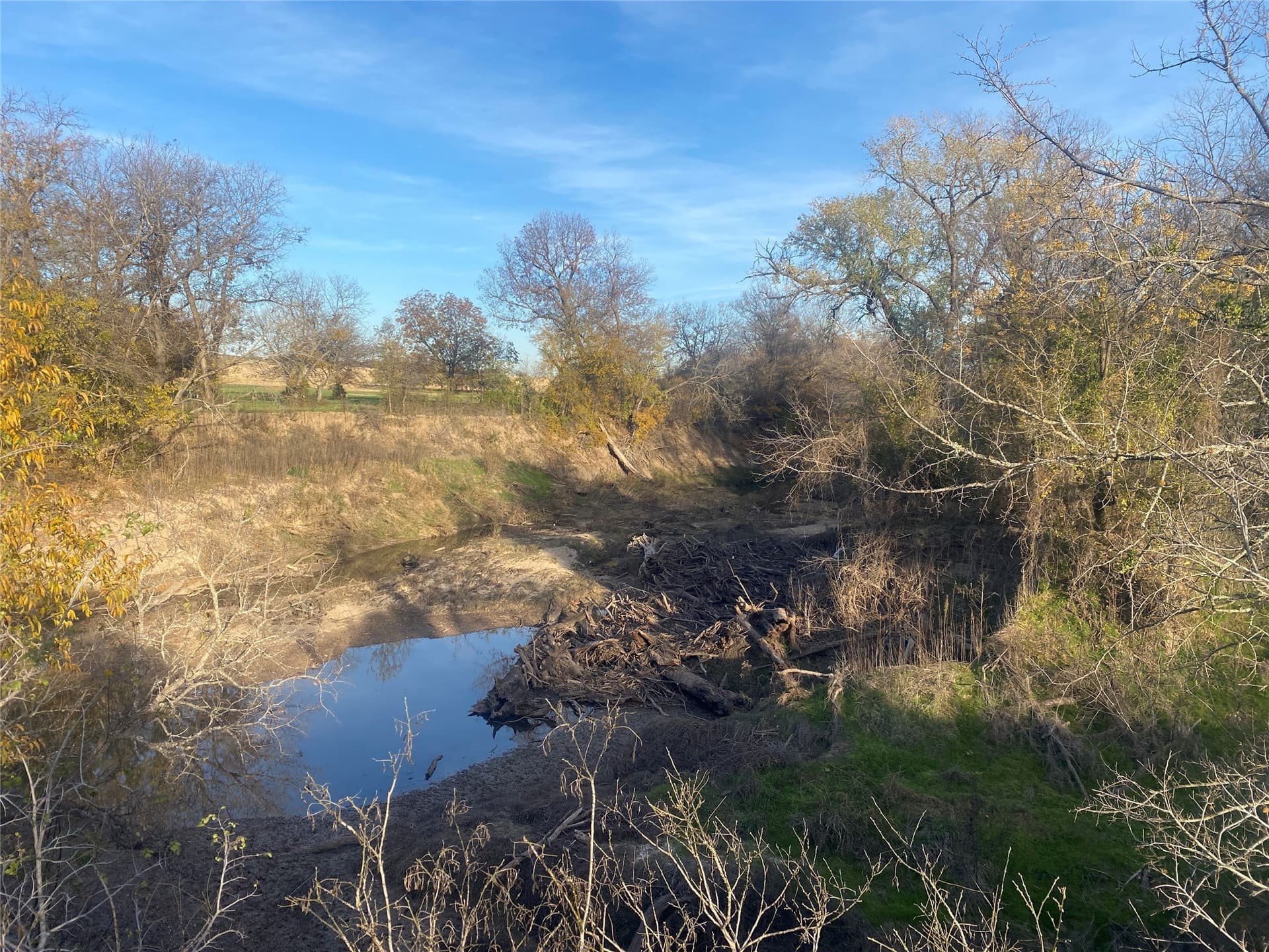 85 acres in Comanche County gallery image 4
