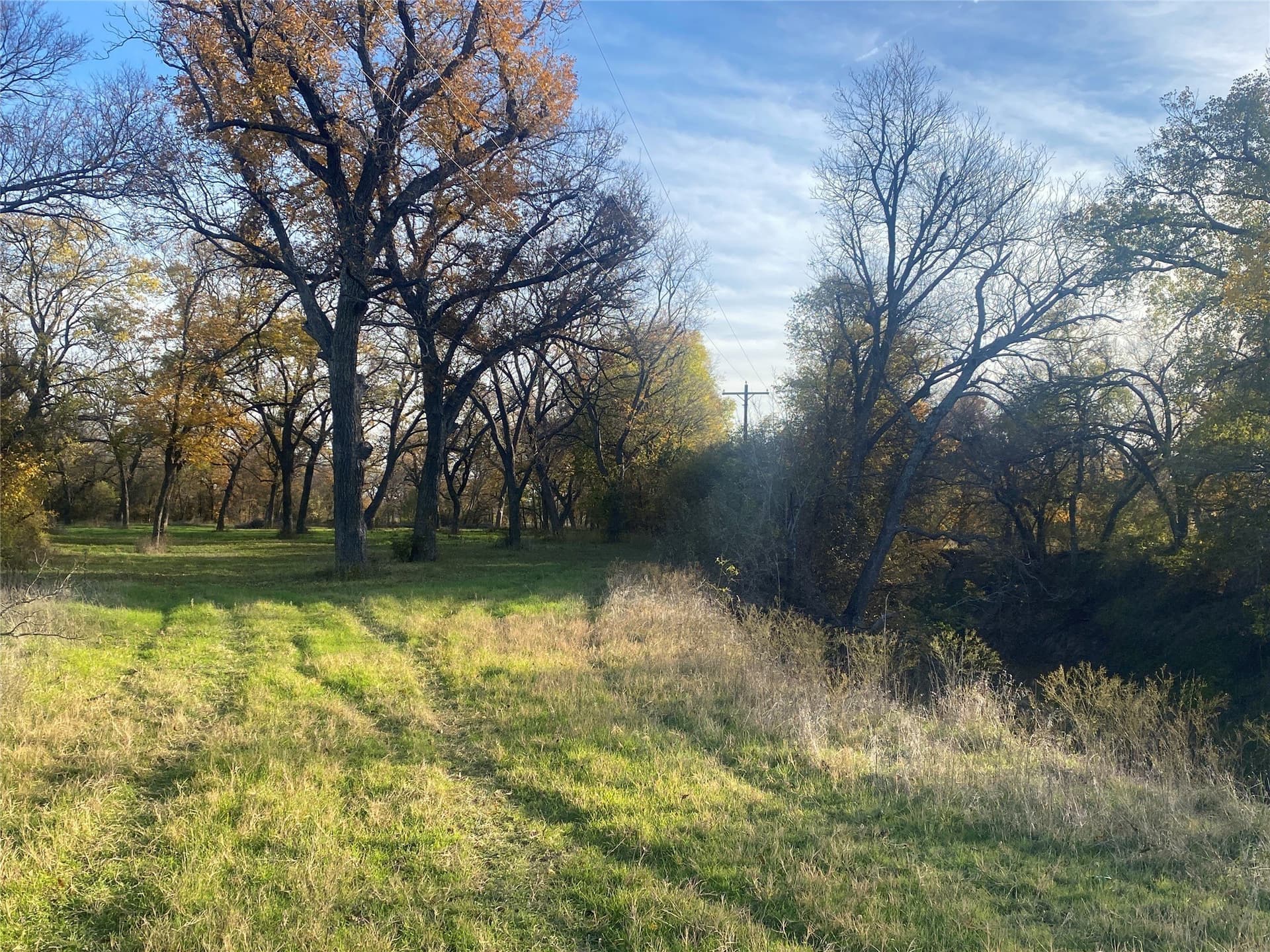 85 acres in Comanche County featured view
