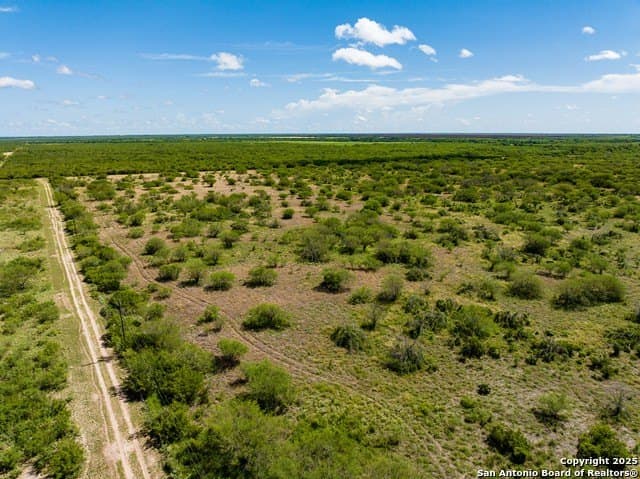 94.67 acres in Jim Wells County gallery image 3