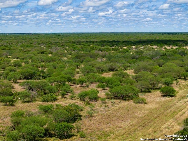 94.67 acres in Jim Wells County