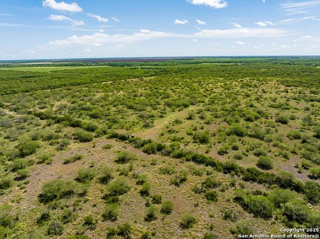 94.67 acres in Jim Wells County gallery image 4
