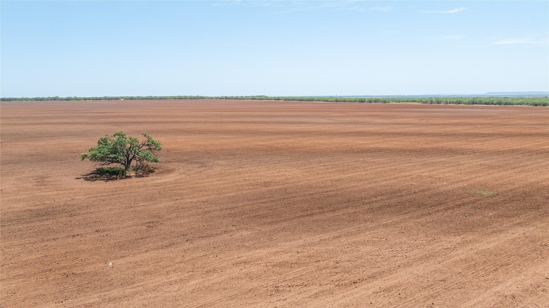 320.45 acres in Taylor County - photo 4