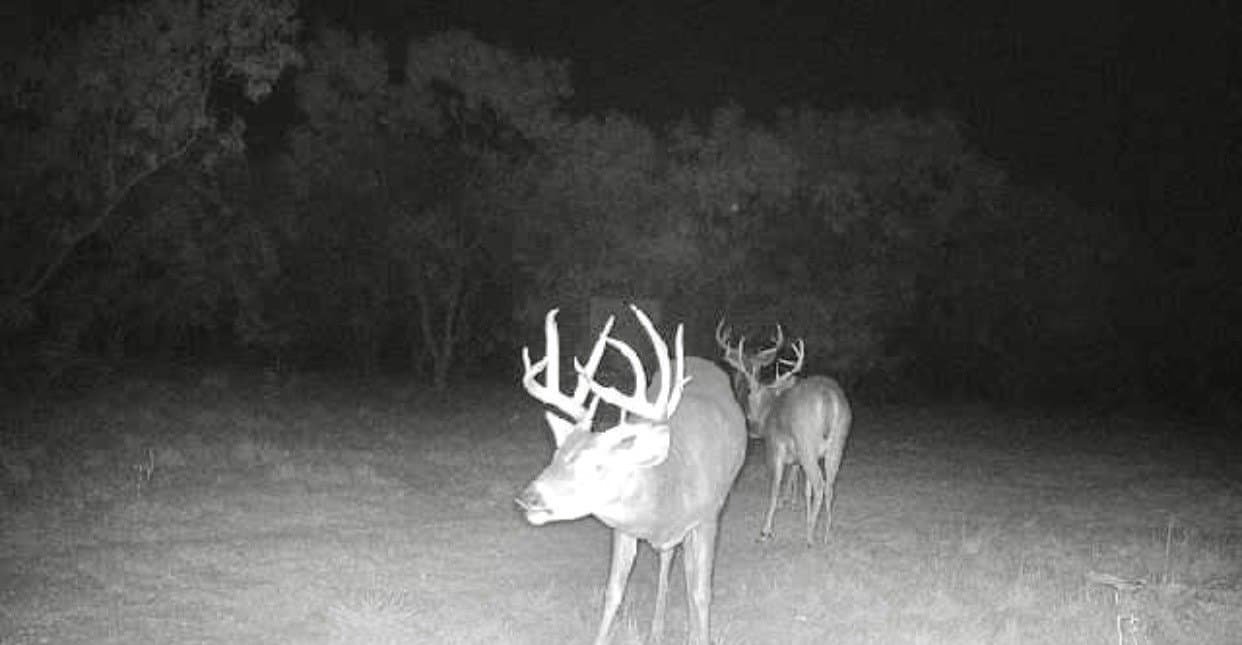 320.45 acres in Taylor County - photo 35