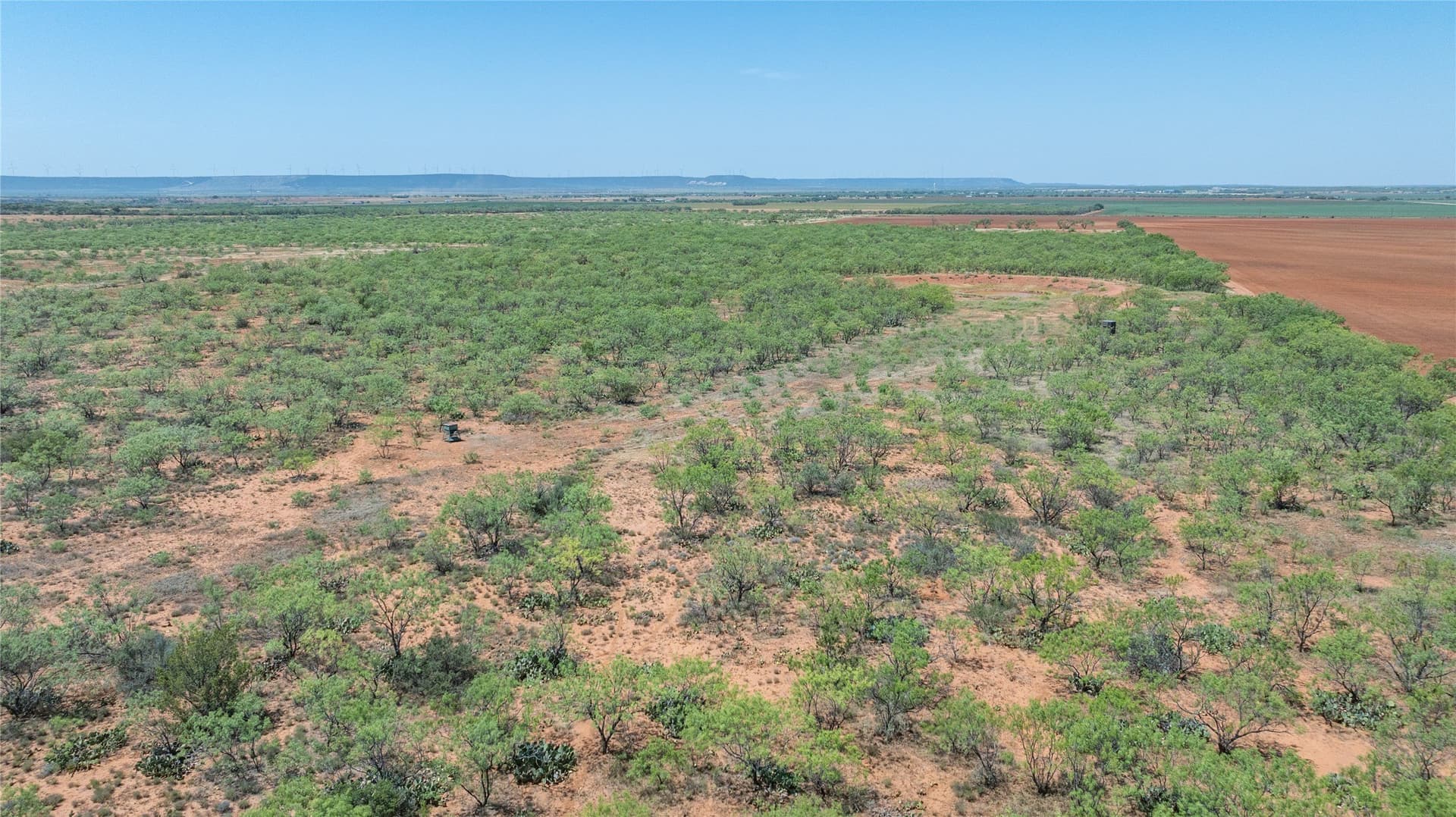 320.45 acres in Taylor County - photo 15