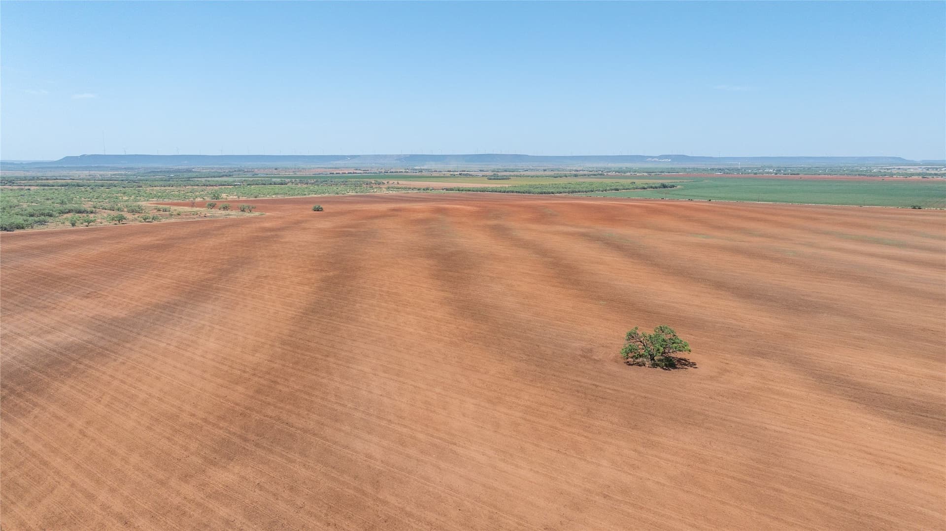 320.45 acres in Taylor County - photo 5