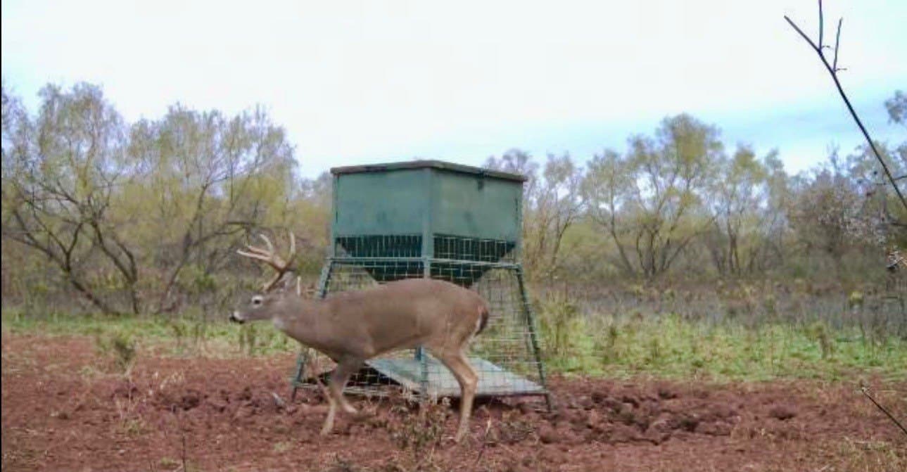 320.45 acres in Taylor County - photo 32
