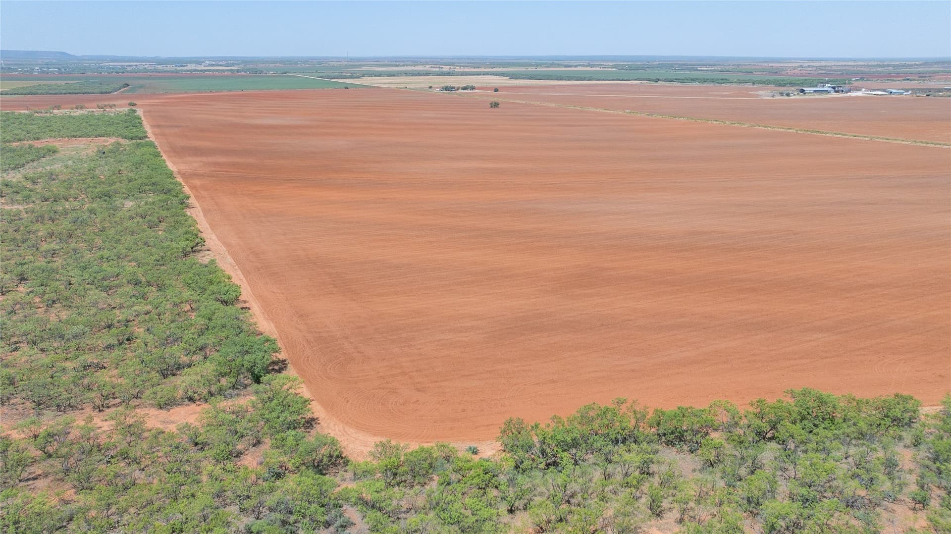 320.45 acres in Taylor County - photo 10