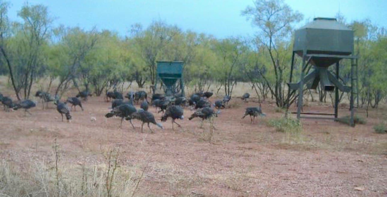 320.45 acres in Taylor County - photo 36