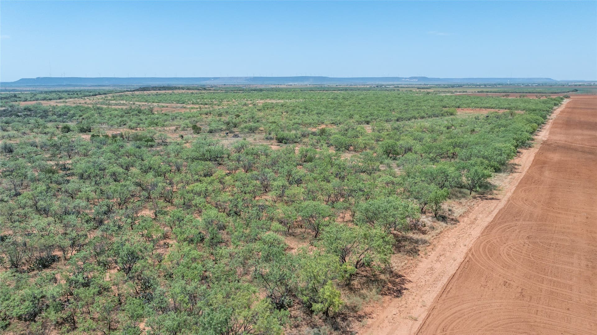 320.45 acres in Taylor County - photo 14