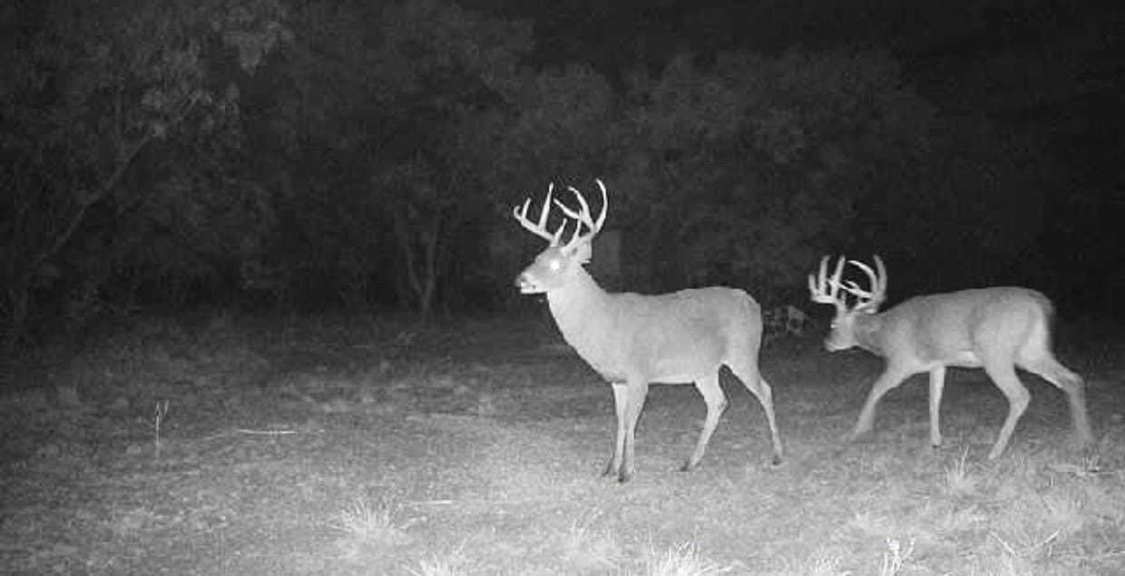 320.45 acres in Taylor County - photo 33
