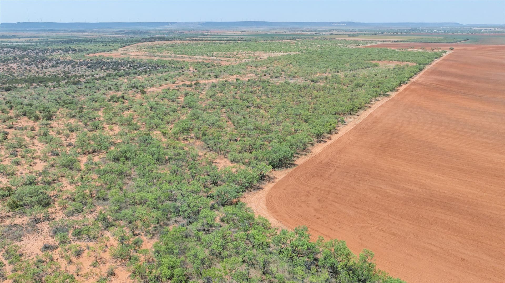320.45 acres in Taylor County - photo 9