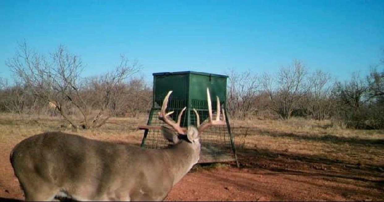 320.45 acres in Taylor County - photo 37