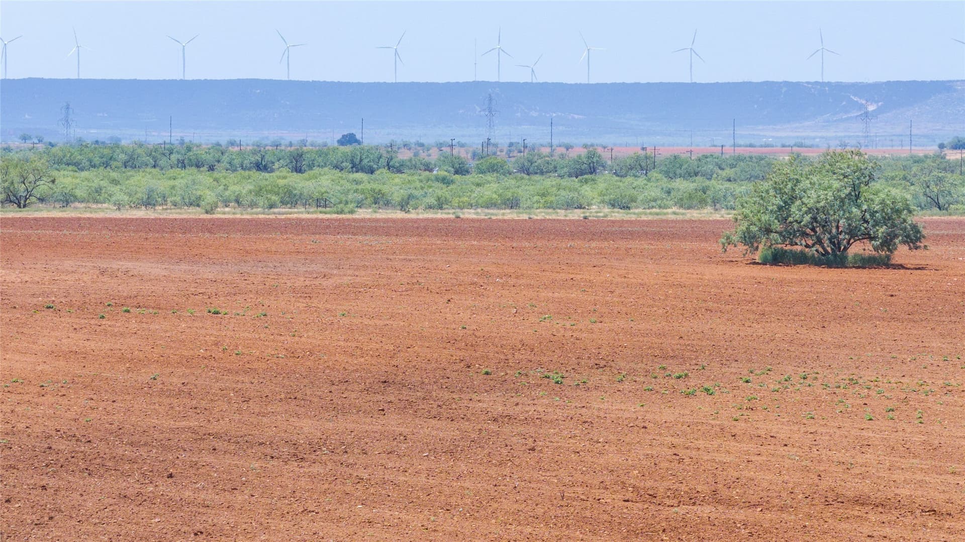 320.45 acres in Taylor County - photo 26