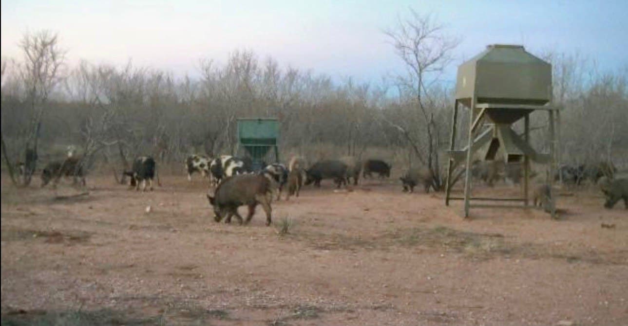 320.45 acres in Taylor County - photo 40