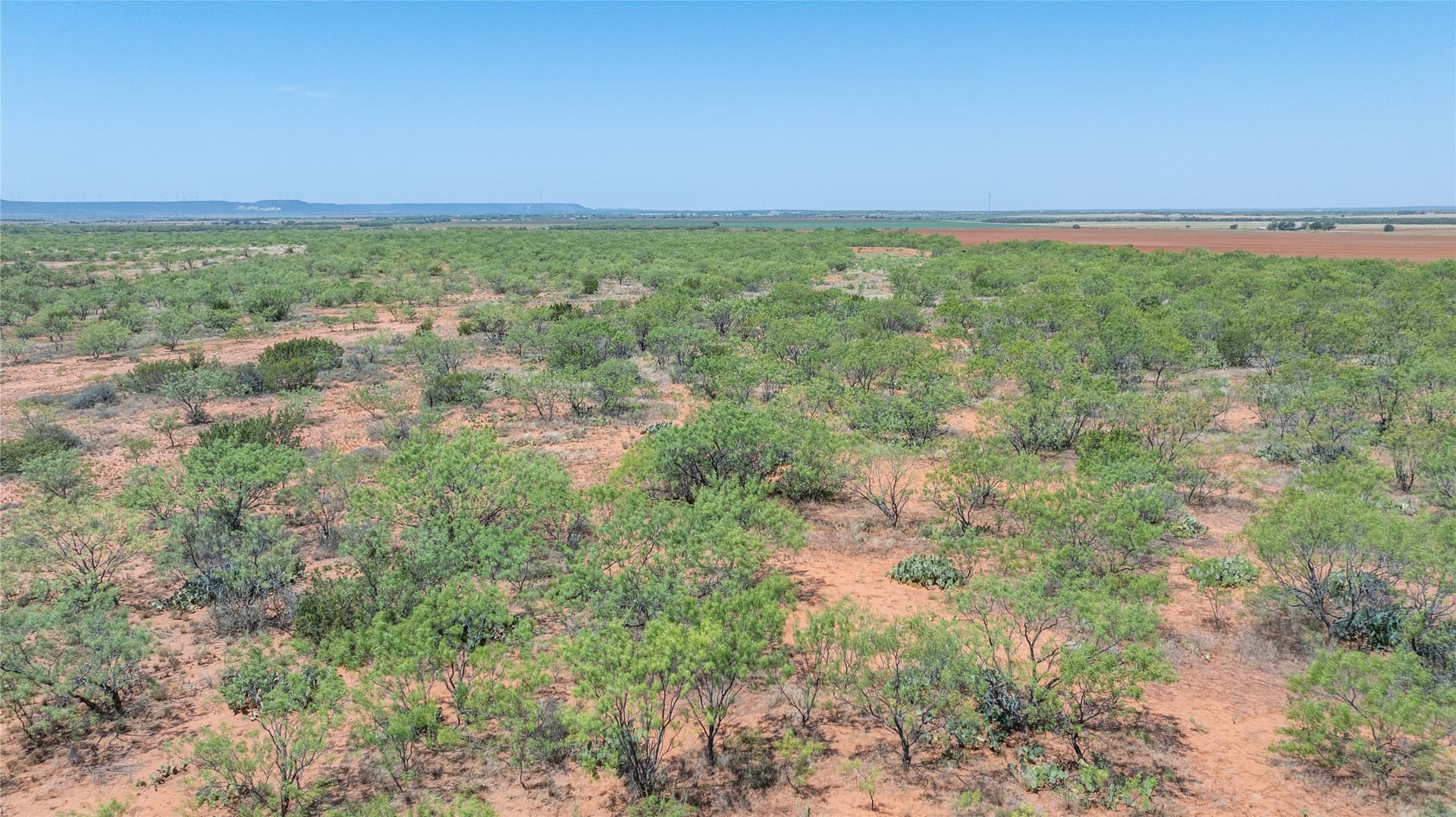 320.45 acres in Taylor County - photo 13