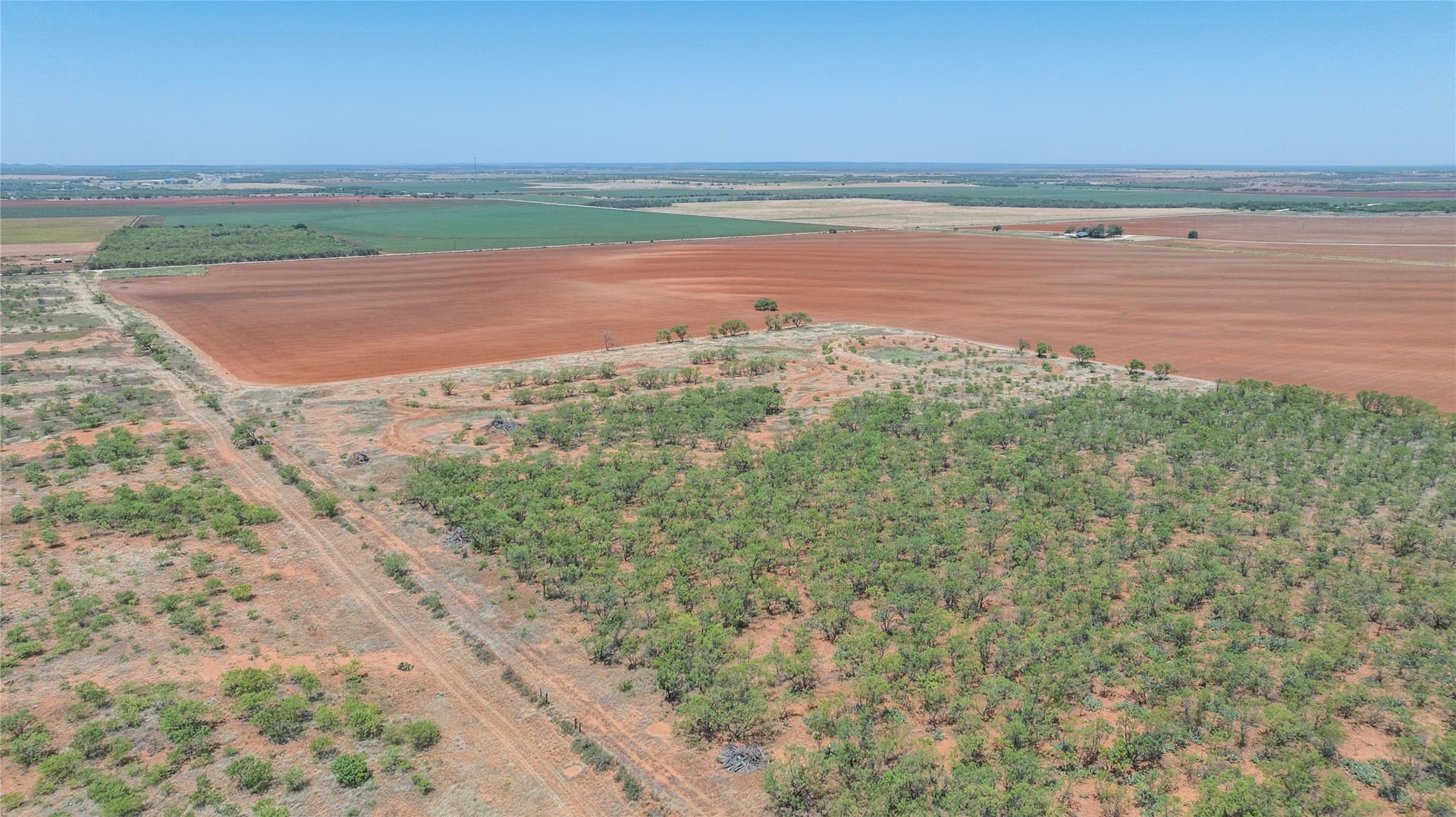 320.45 acres in Taylor County - photo 19