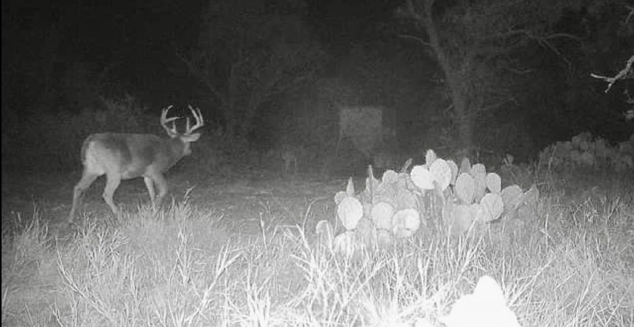 320.45 acres in Taylor County - photo 31