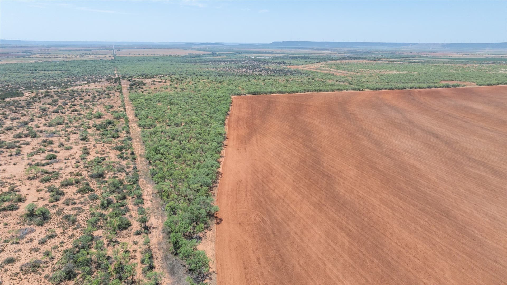 320.45 acres in Taylor County - photo 8