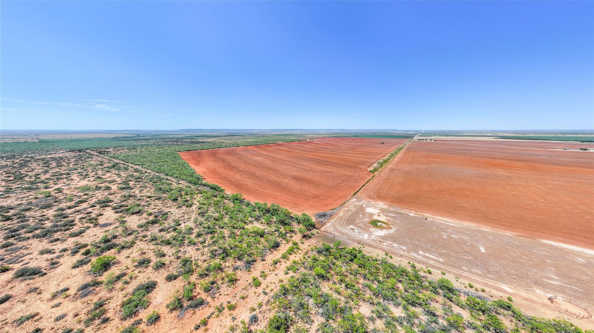 320.45 acres in Taylor County - photo 7