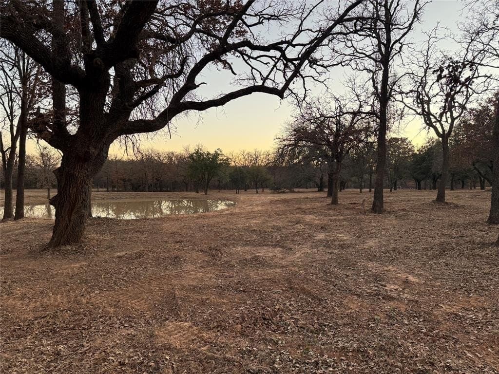 10 acres in Parker County gallery image 4