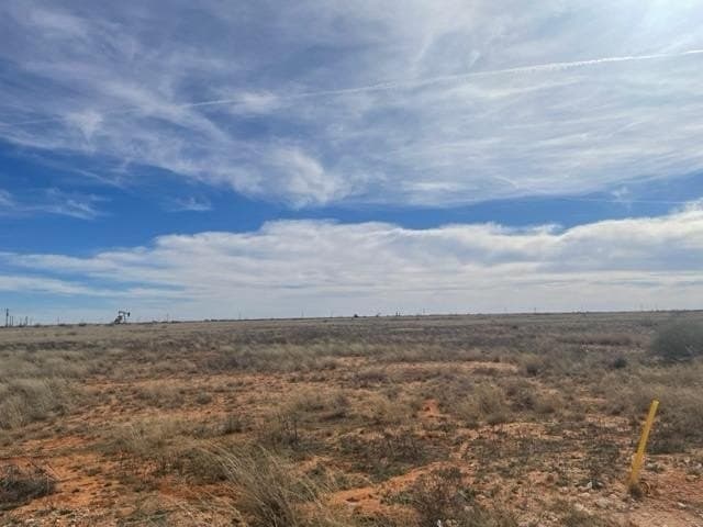 642 acres in Gaines County gallery image 2