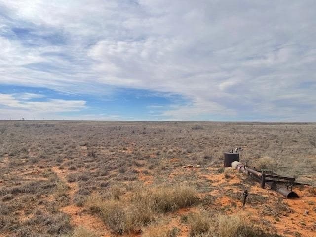 642 acres in Gaines County gallery image 4