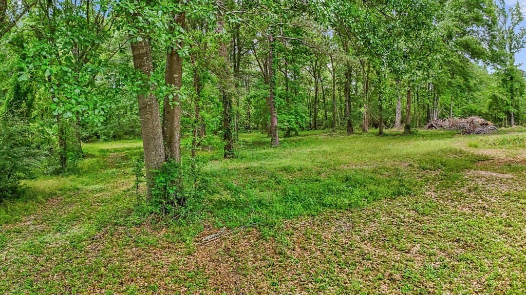 5.89 acres in Texas County featured view