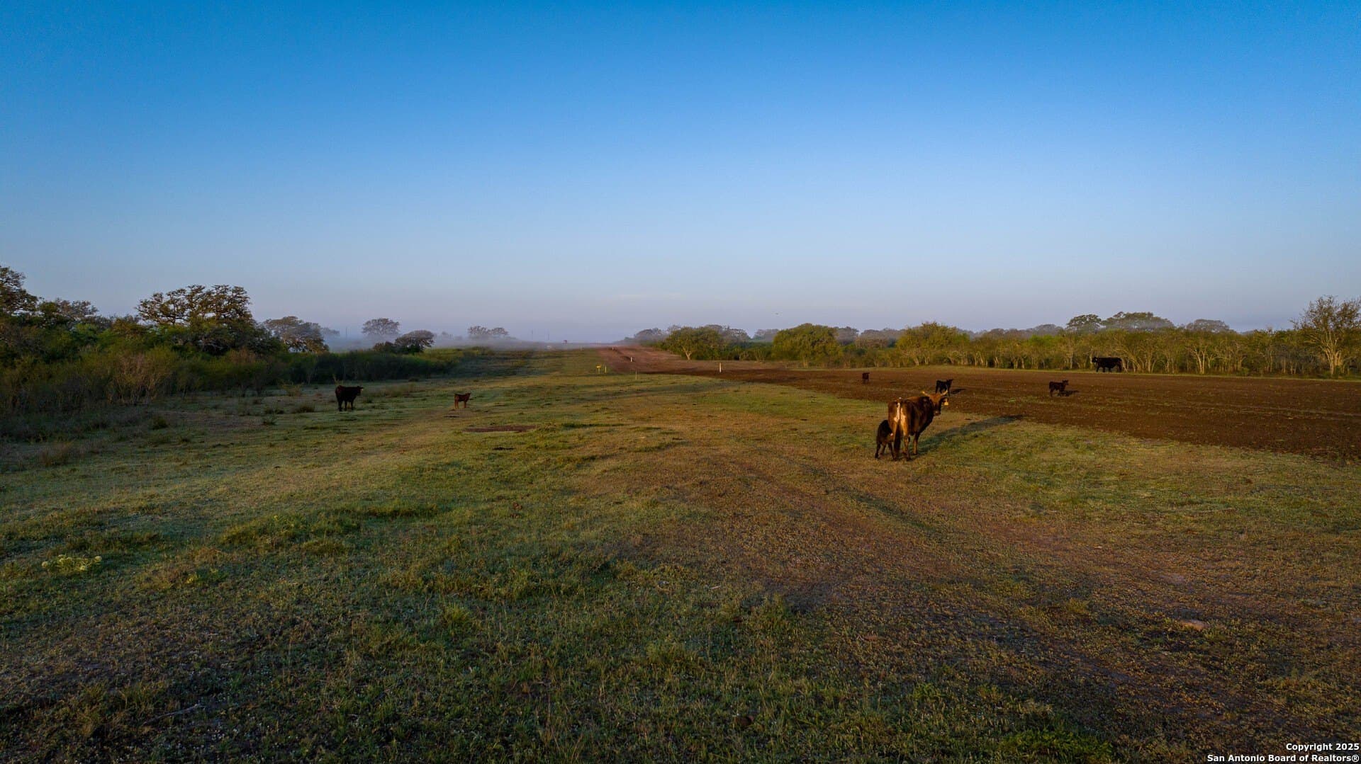 450 acres in Goliad County - photo 9