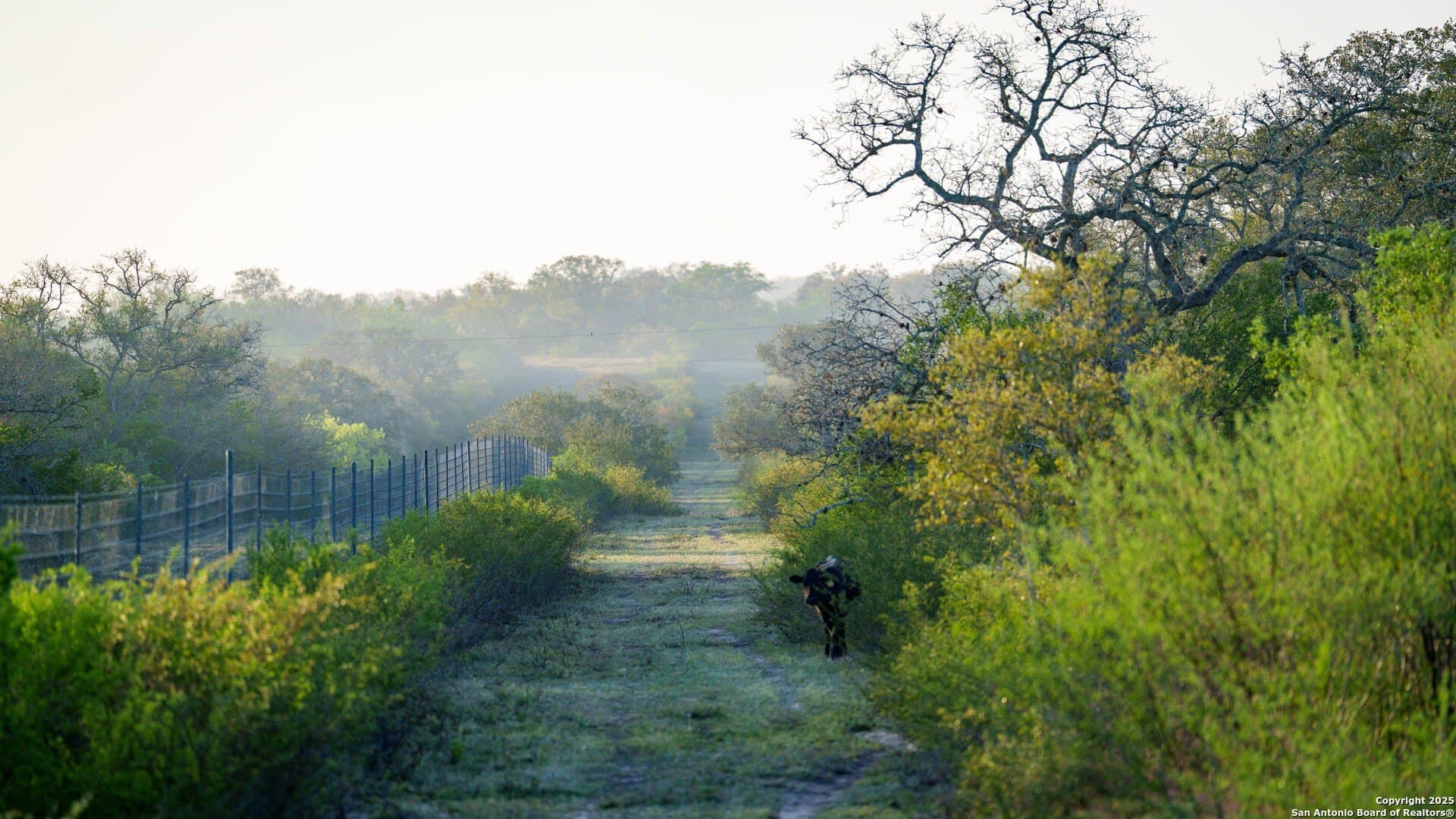 450 acres in Goliad County - photo 22