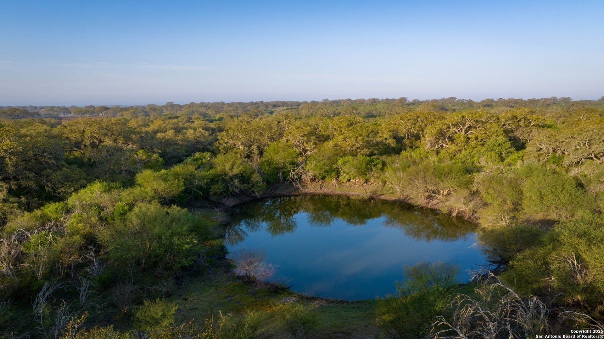 450 acres in Goliad County - photo 38