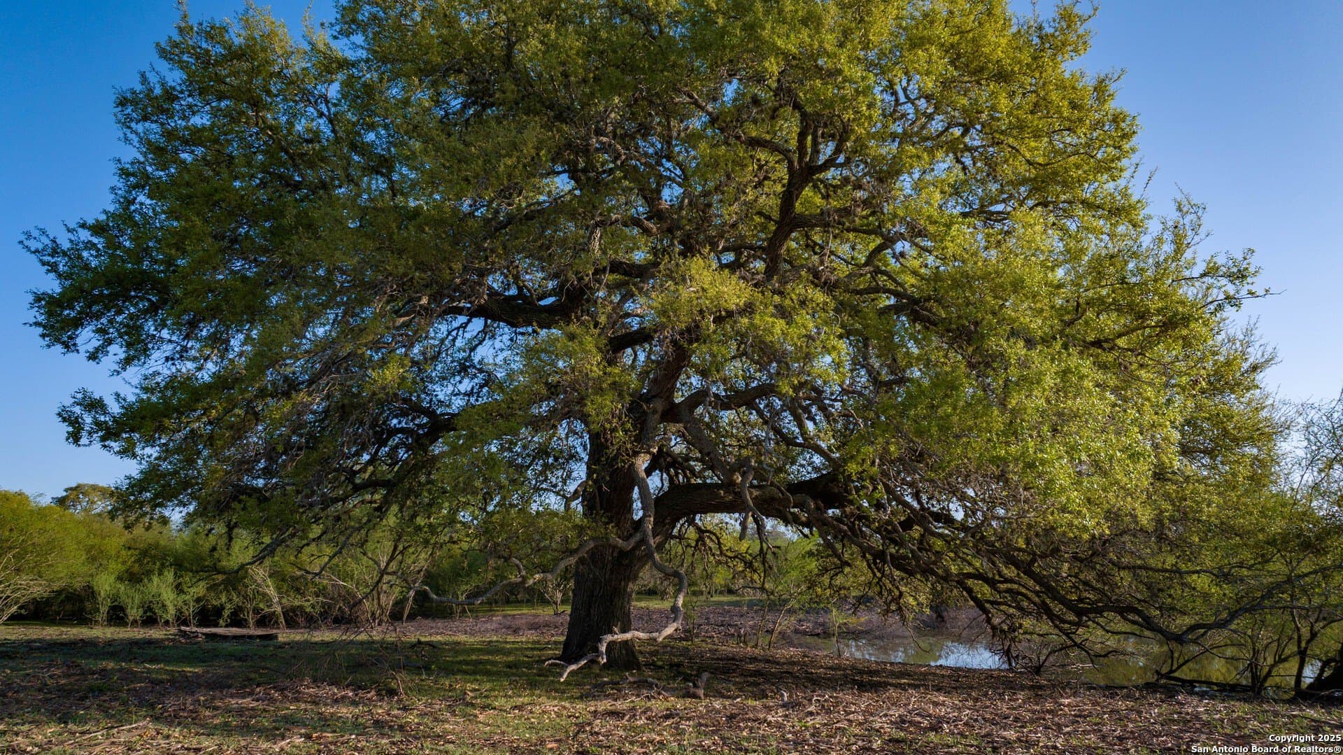 450 acres in Goliad County - photo 62