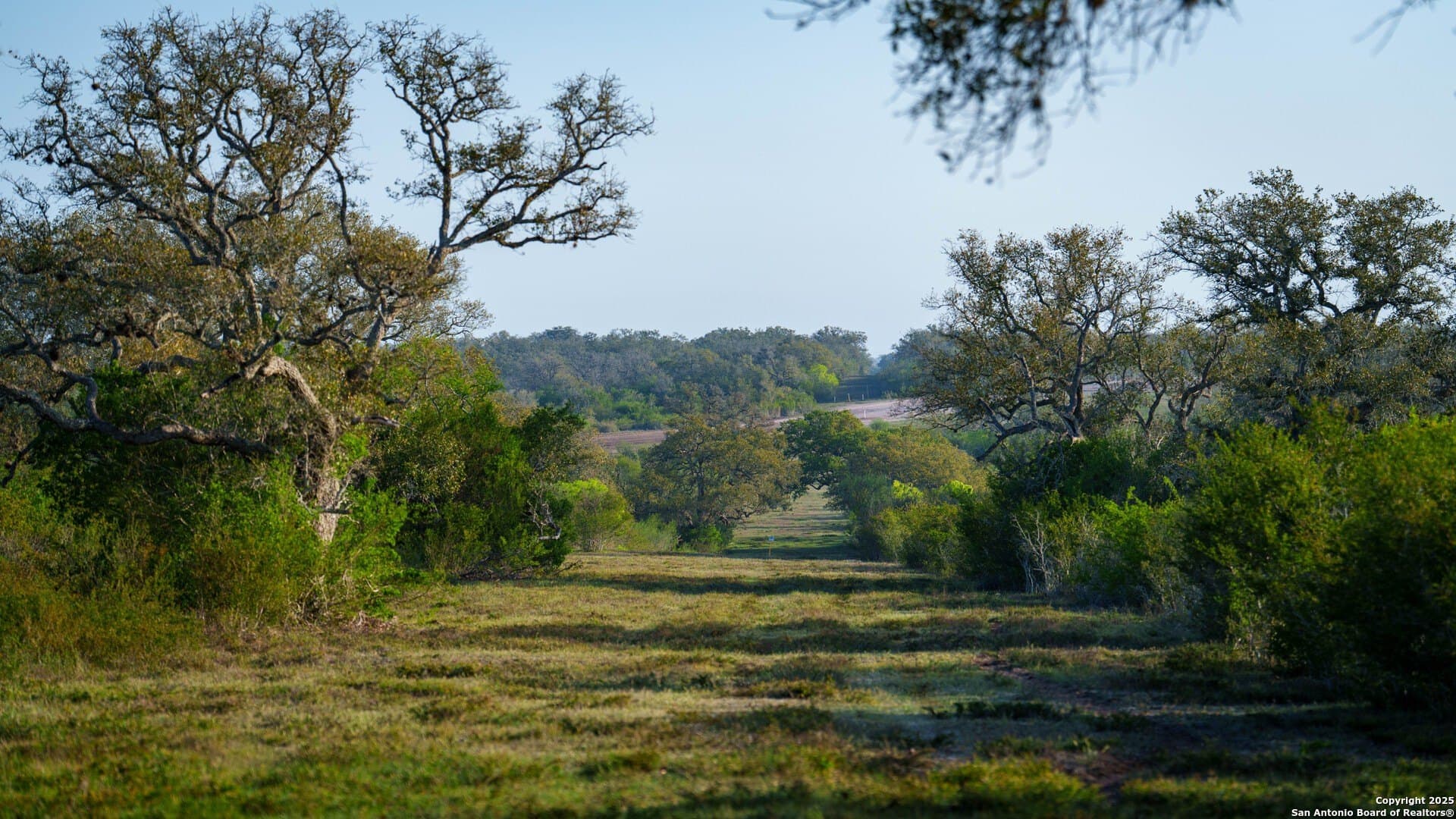 450 acres in Goliad County - photo 49