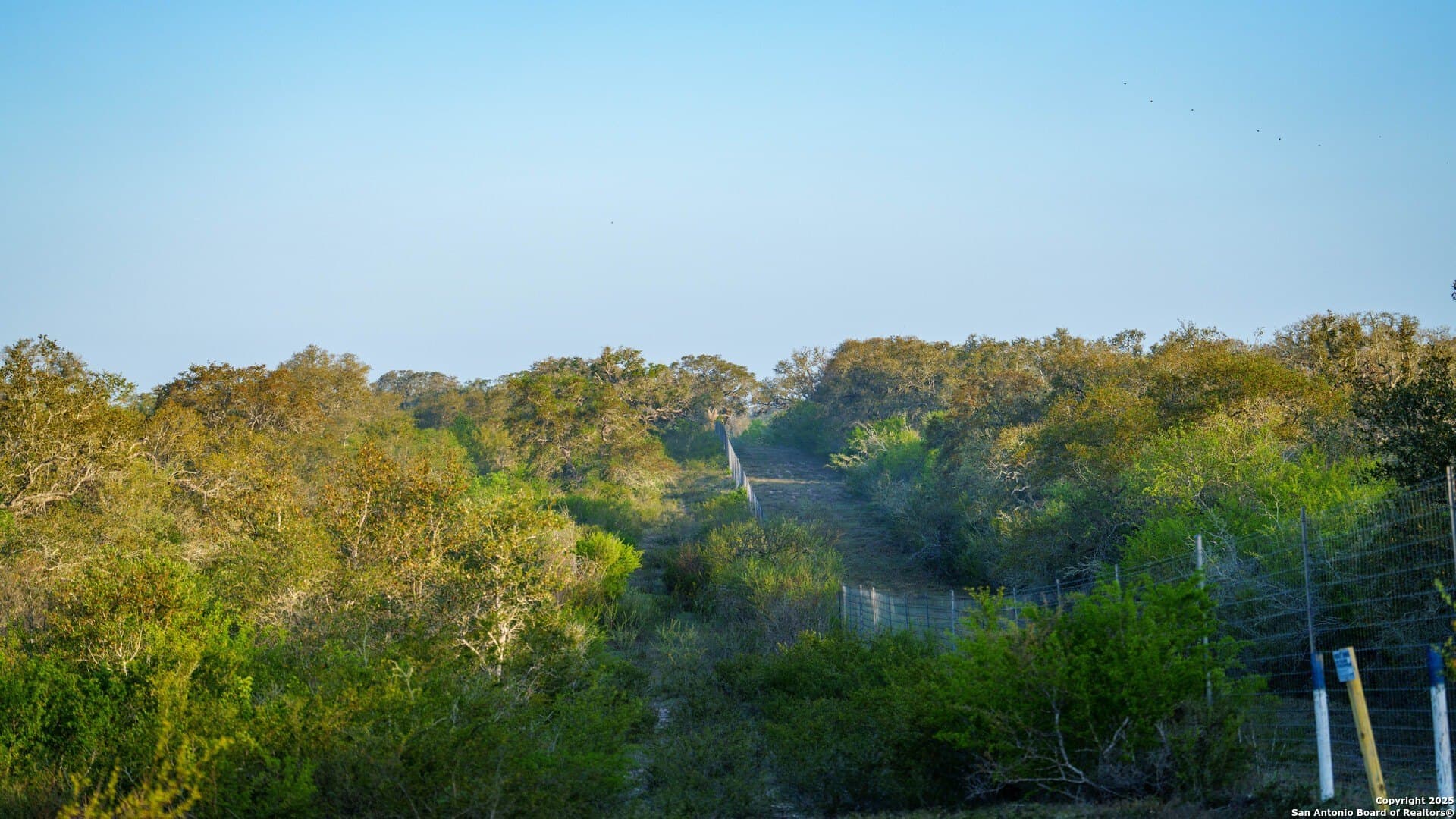 450 acres in Goliad County - photo 21