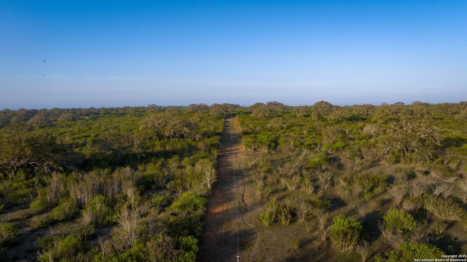 450 acres in Goliad County - photo 42