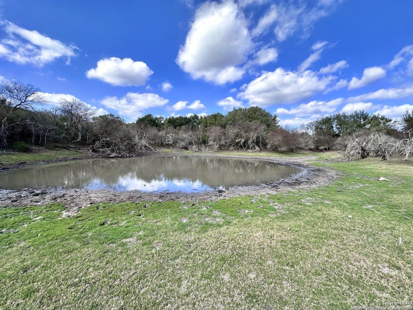 450 acres in Goliad County - photo 37