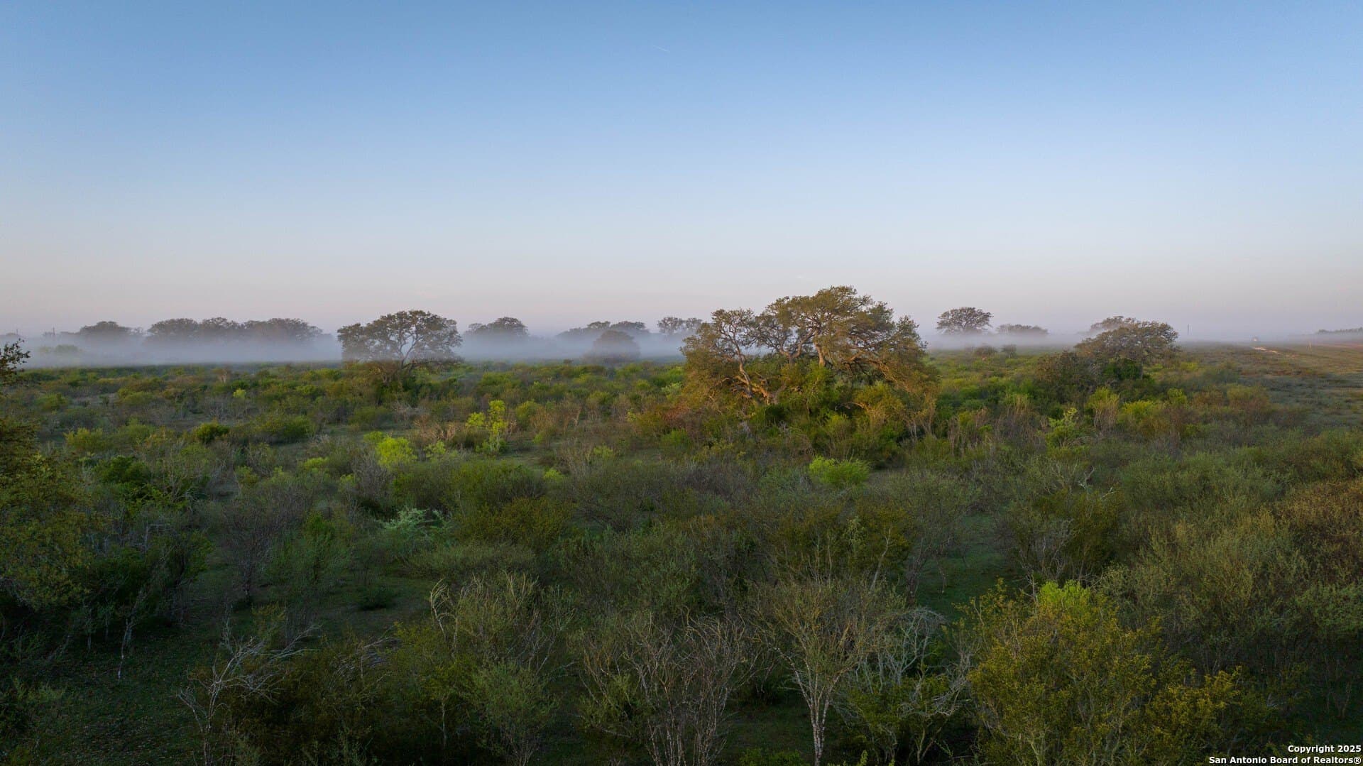 450 acres in Goliad County gallery image 4