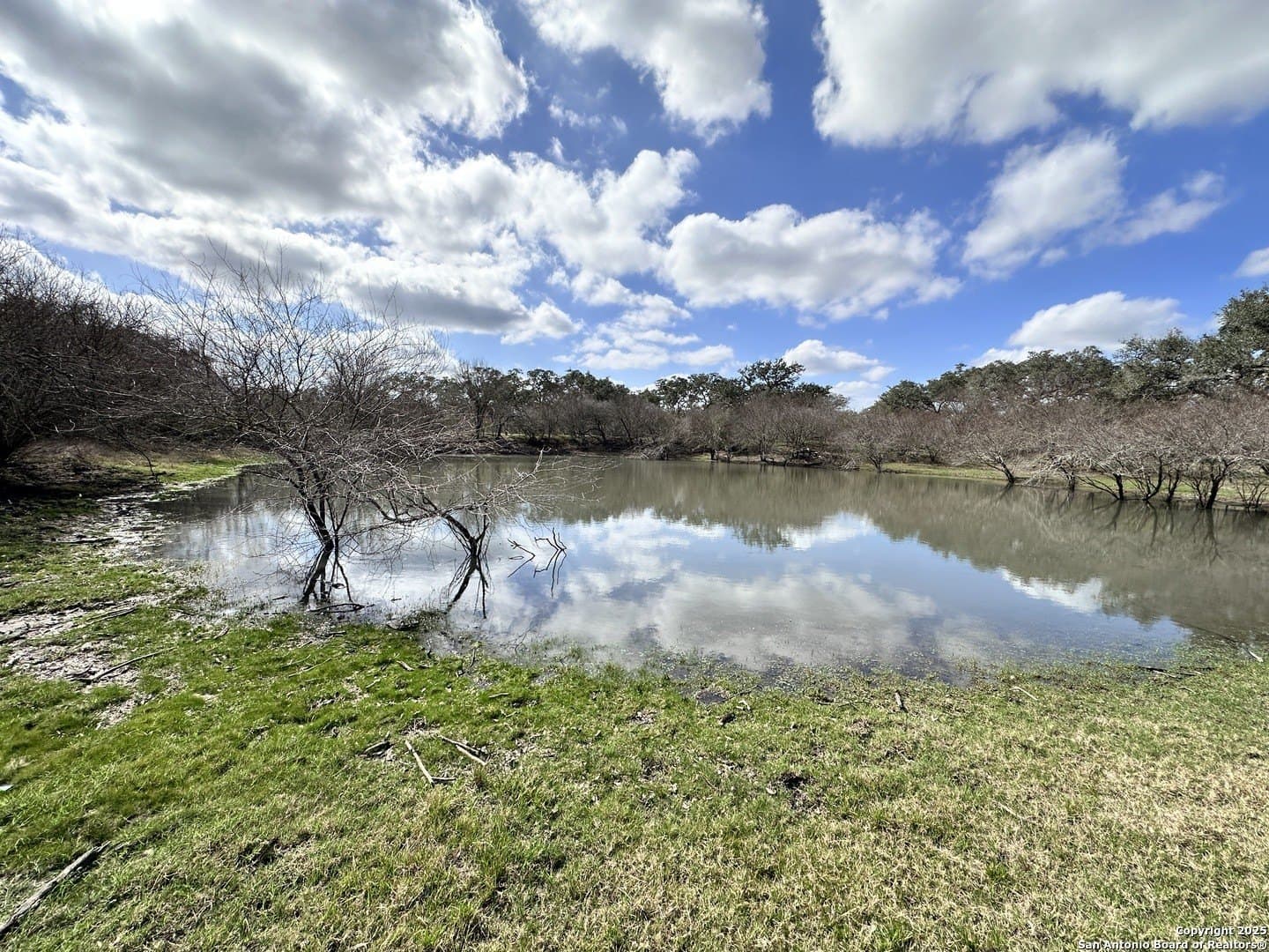 450 acres in Goliad County - photo 33