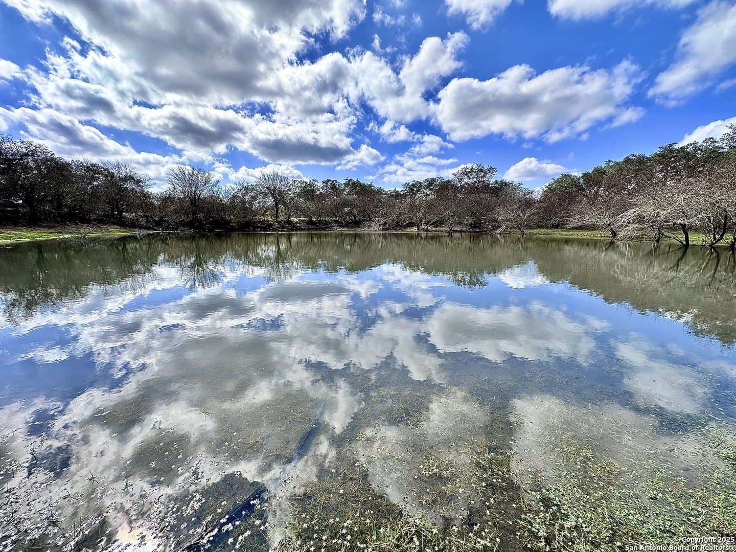 450 acres in Goliad County - photo 34