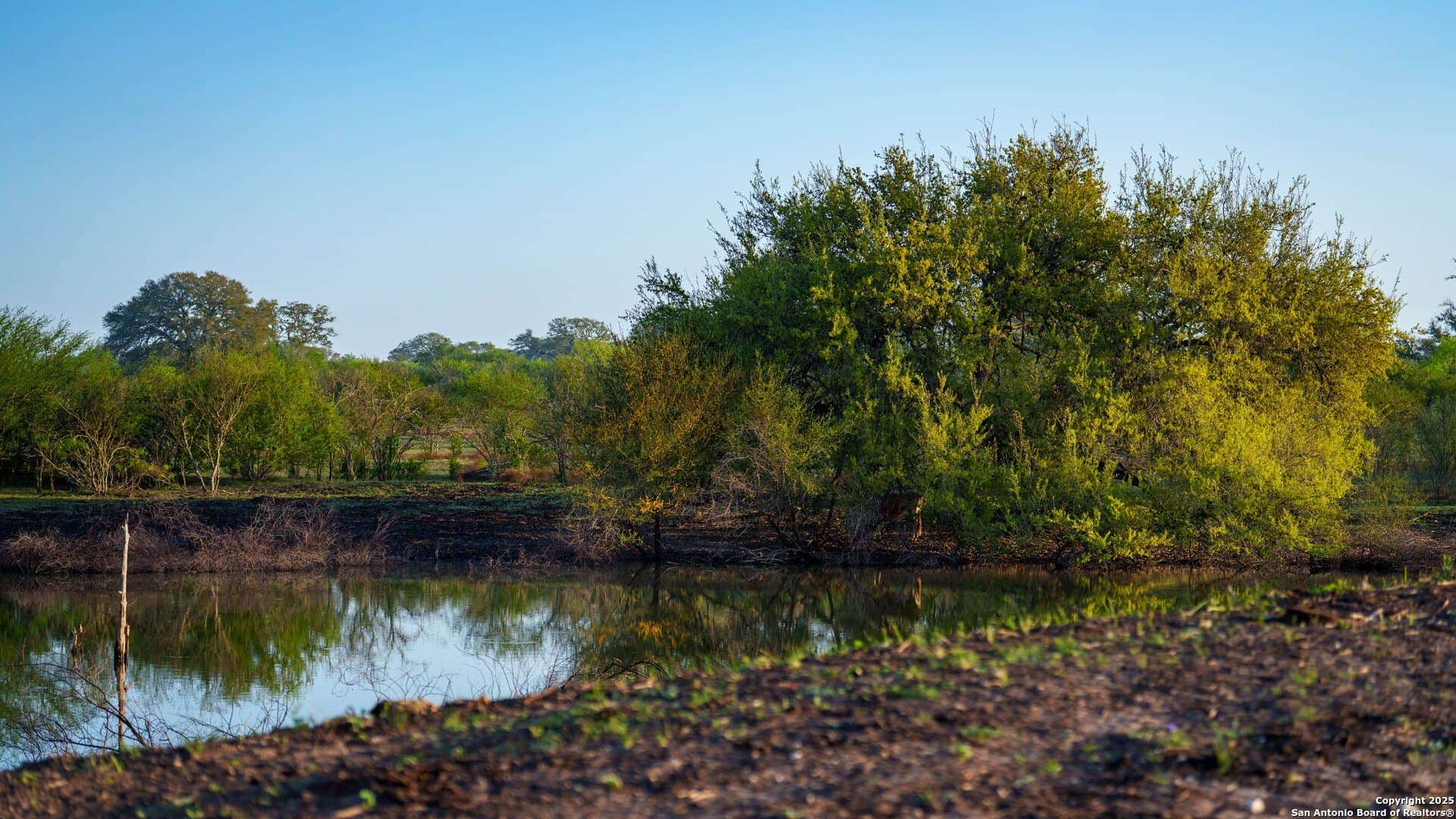 450 acres in Goliad County - photo 20