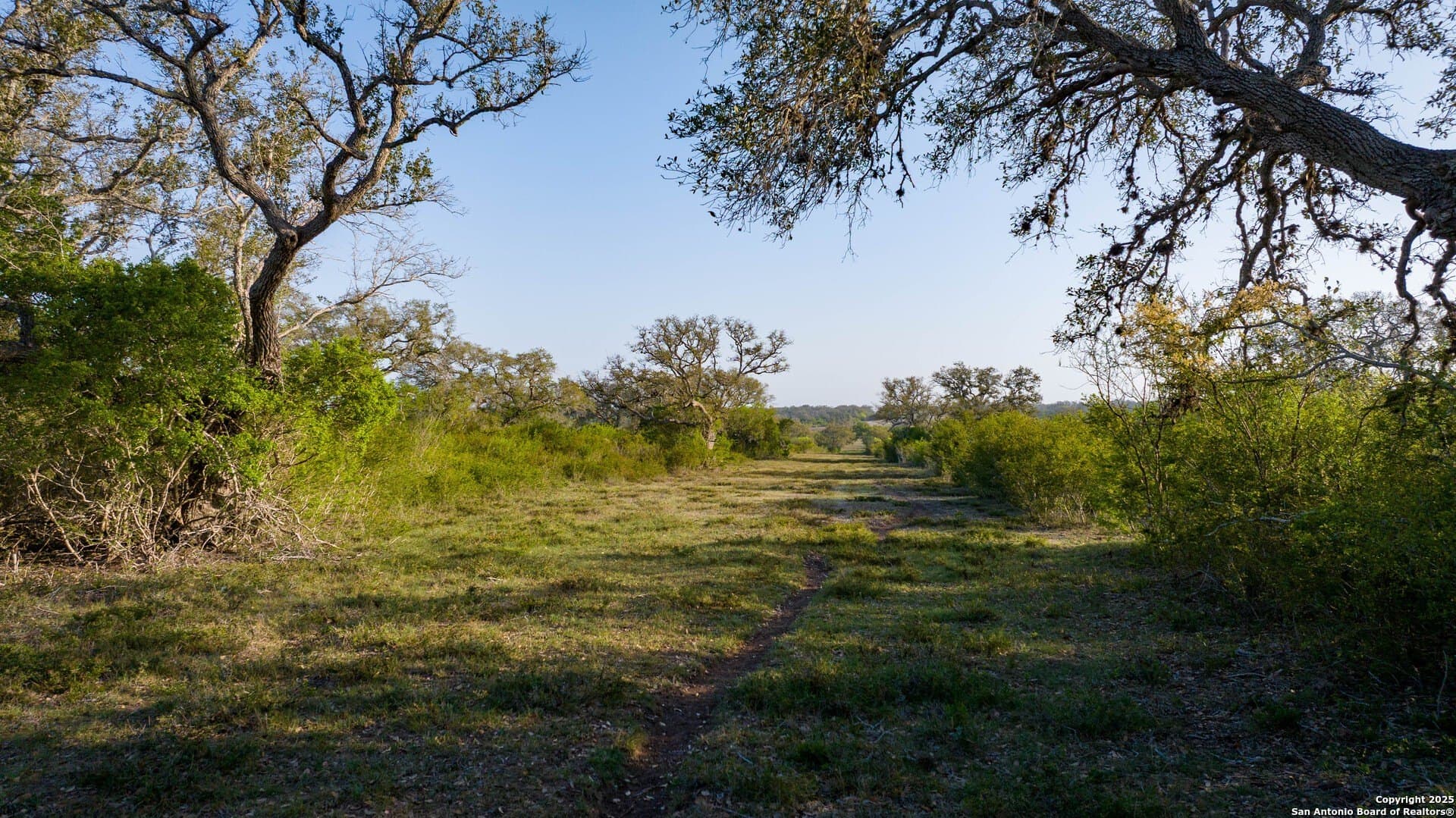 450 acres in Goliad County - photo 50