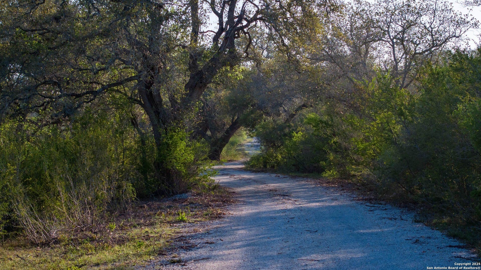450 acres in Goliad County - photo 65