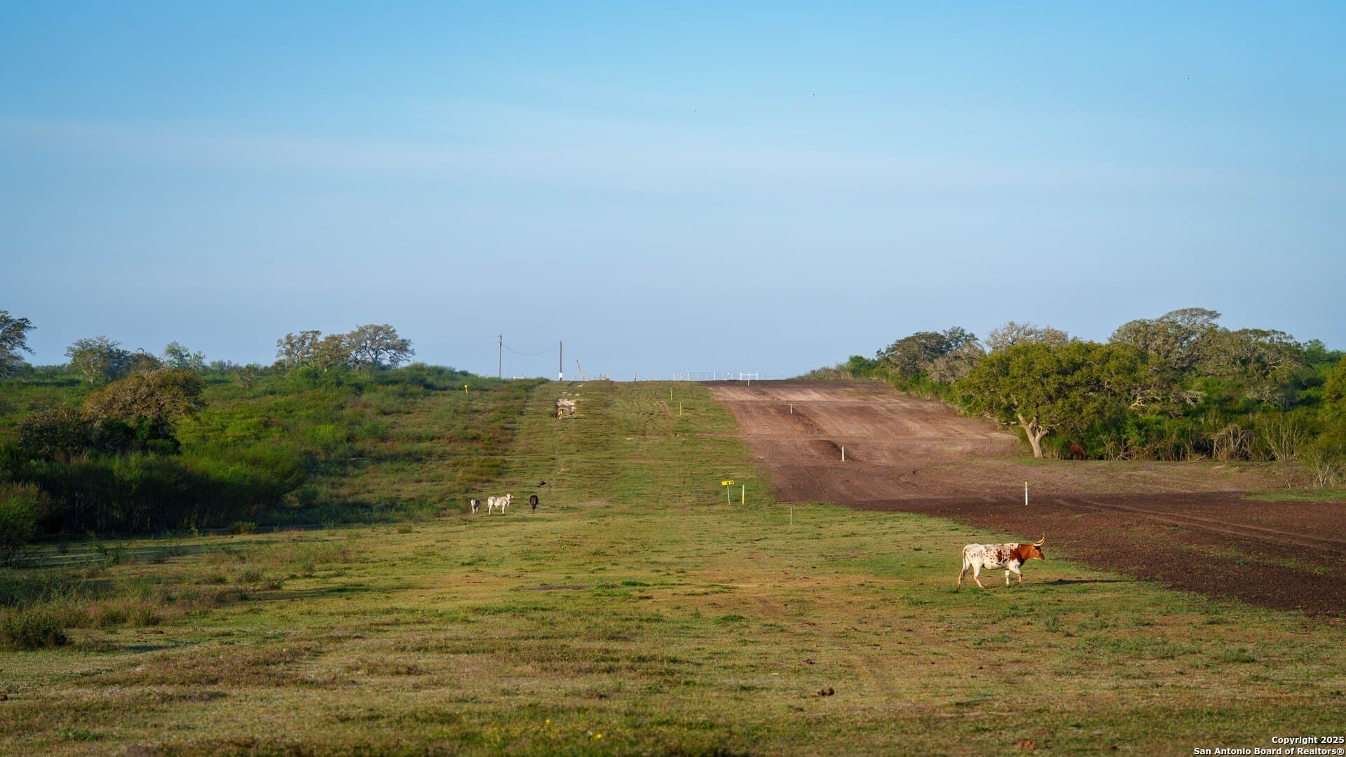 450 acres in Goliad County - photo 44